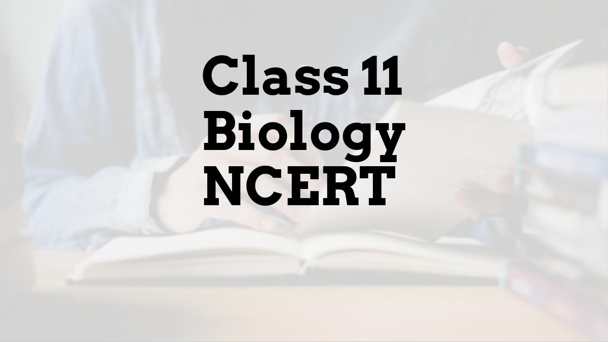 Class 11 Biology NCERT